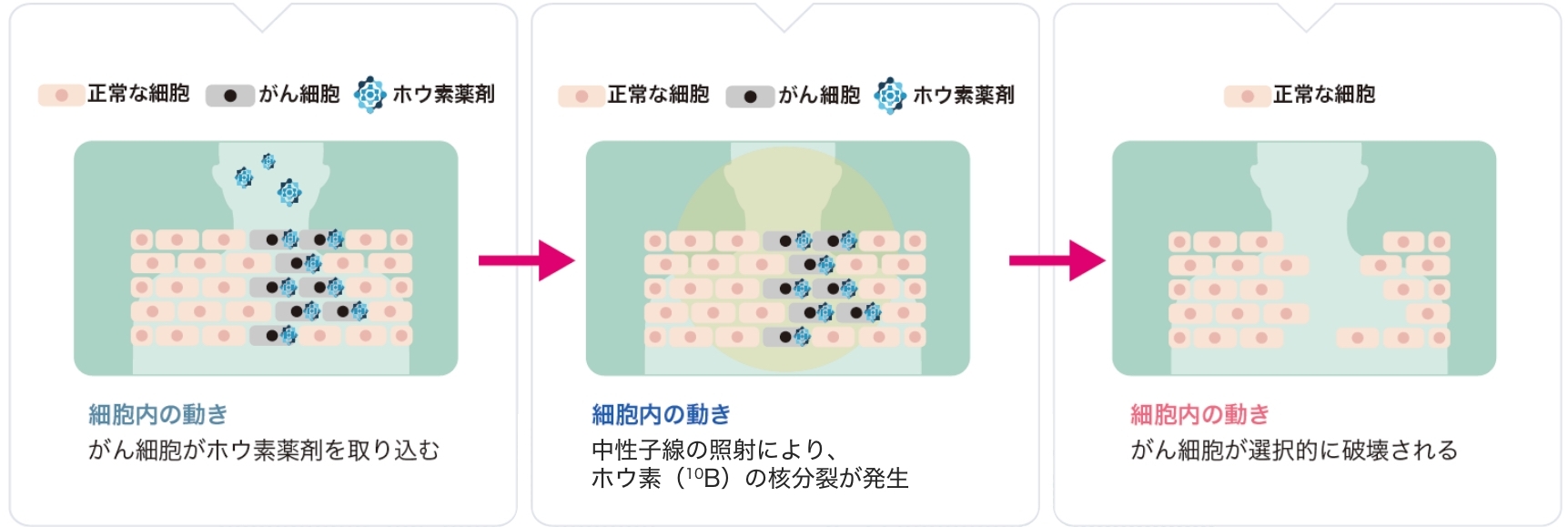 BNCTのしくみ