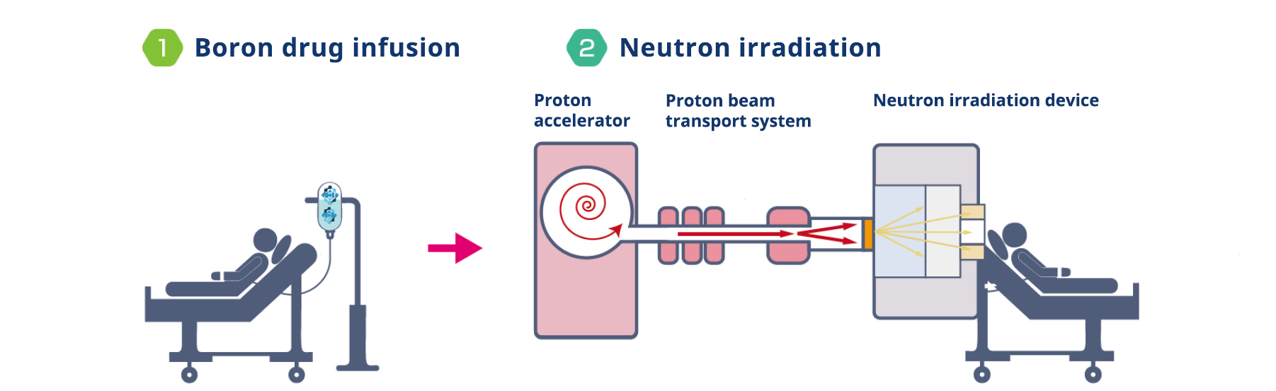 Outline of BNCT and image of irradiation