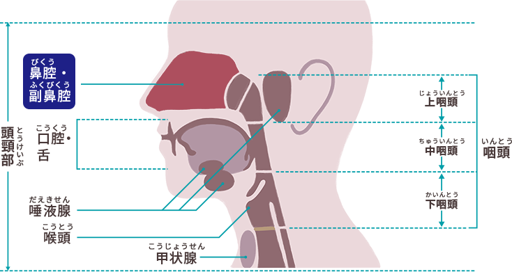 頭頸部がんはどのように診断されますか?
